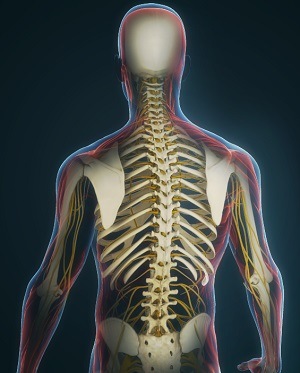 Spine Arthritis